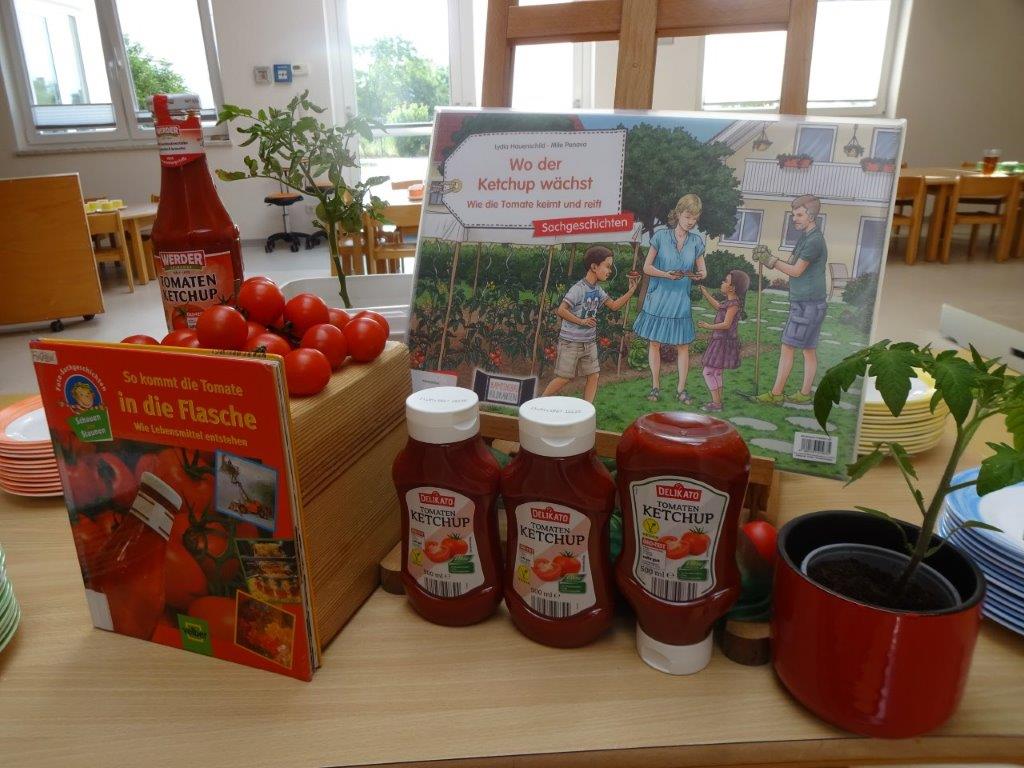 Ketchup-Flaschen und Bücher zum Thema Ketchup sowie eine Tomatenpflanze auf einem Tisch.
