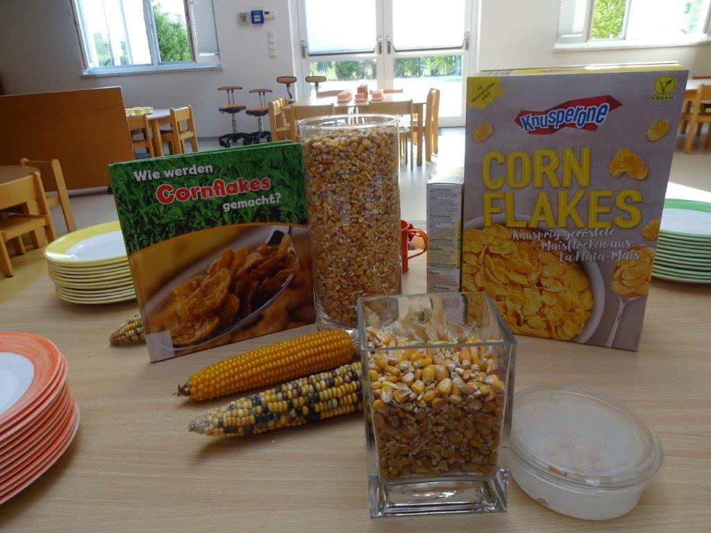 Eine Packung Cornflakes, verschiedene Maissorten sowie ein Buch zum Thema Cornflakes auf einem Tisch.